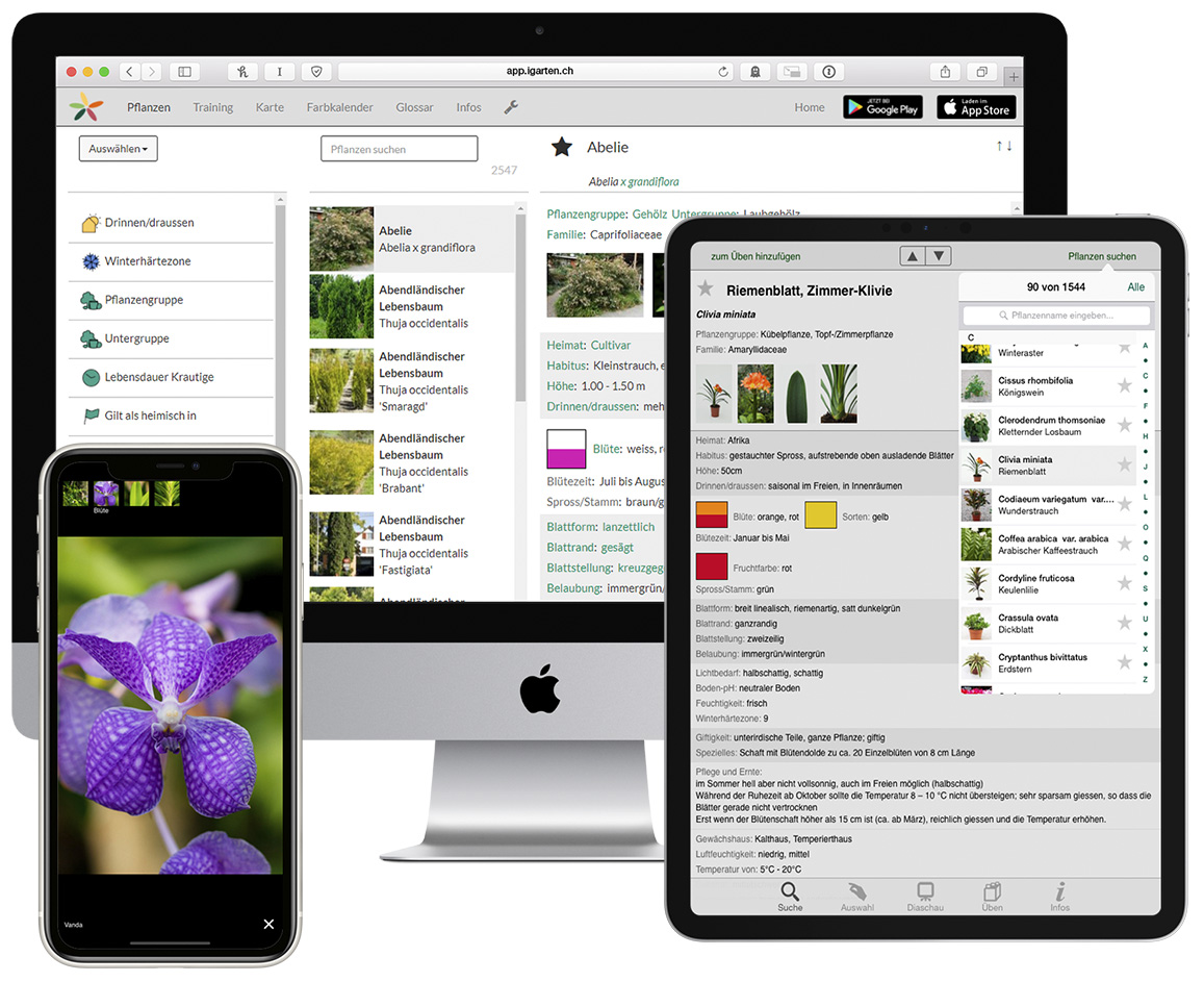 Computer, Smartphone und Tablet mit Screenshots der iGarten App
